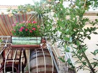 Holiday house Stanisici Outdoor Recording 6