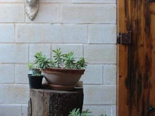 Ferienhaus Stanisici Außenaufnahme 1