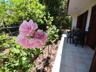 Apartment Herceg Novi Außenaufnahme 2