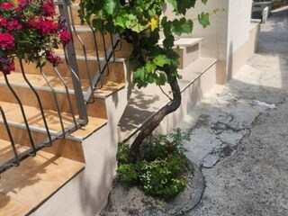 Casa de vacaciones Kotor Grabación al aire libre 5