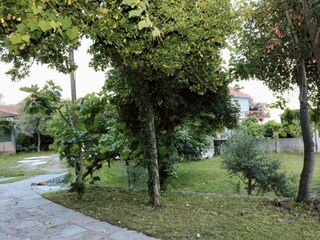 Apartment Baošići Outdoor Recording 5