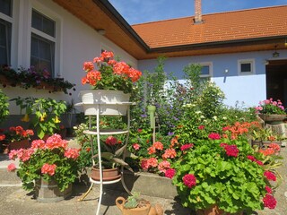 Vakantieappartement St. Andrä am Zicksee Buitenaudio-opname 17