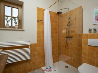 Villa Svetvinčenat Équipement 22