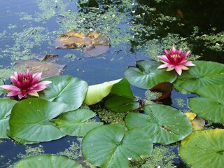 Casa per le vacanze Cavigny Ambiente 33