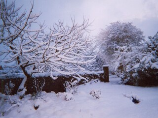 Heiße Sommer, Schnee im Winter