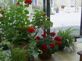 Casa per le vacanze Cavigny Ambiente 32