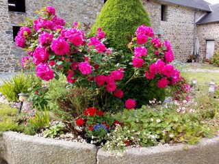 Casa per le vacanze Cavigny Documento 42