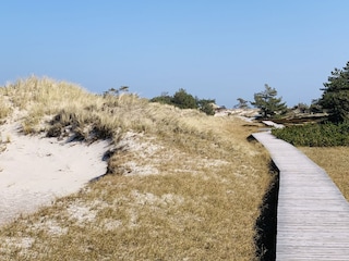 Apartamento de vacaciones Zingst Entorno 21