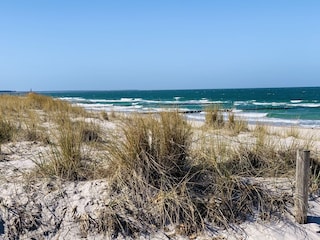 Apartamento de vacaciones Zingst Entorno 23