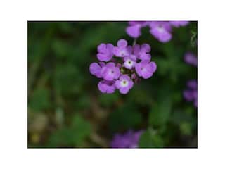 Holiday cottage Floridia Outdoor Recording 12