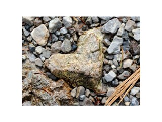 Schöne Wanderwege in unmittelbarer Umgebung