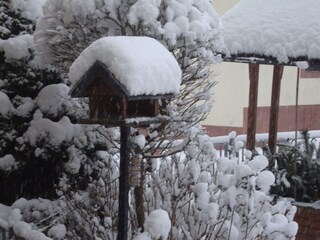 Appartamento Bereborn Registrazione all'aperto 3