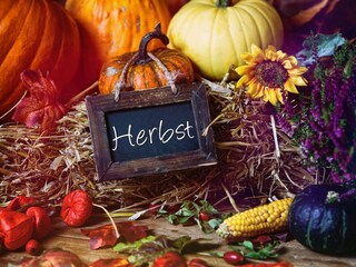 Appartamento Bereborn Registrazione all'aperto 6