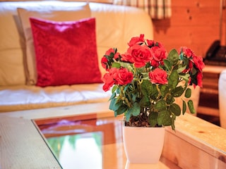 Parco vacanze Wildschönau-Niederau  24