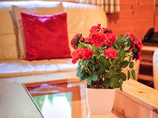 Ferienpark Wildschönau-Niederau  23