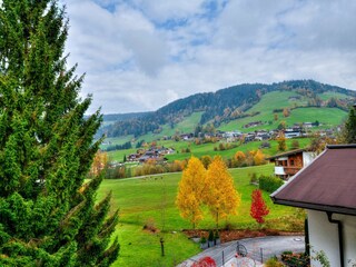 Vakantiepark Wildschönau-Niederau Buitenaudio-opname 5