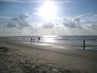 Appartamento per vacanze Domburg Ambiente 18