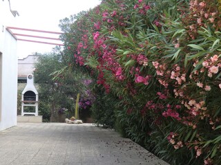 Casa per le vacanze San Pietro in Bevagna Registrazione all'aperto 5