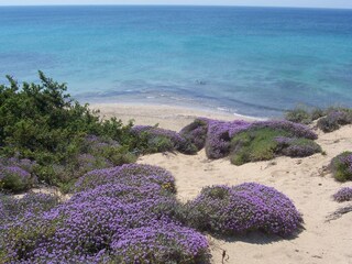Casa per le vacanze San Pietro in Bevagna Ambiente 16