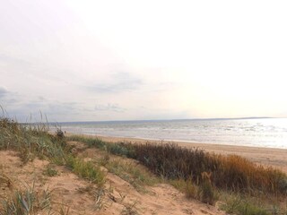 Holiday house Halmstad  20