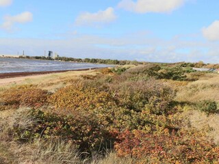 Holiday house Halmstad  13