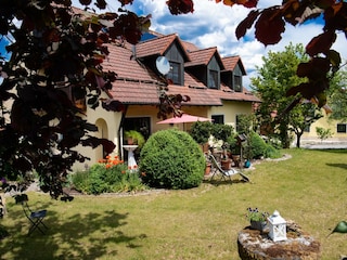 Blick in den Garten