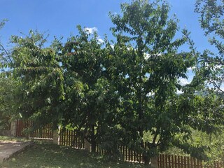 Villa Sarajevo Enregistrement extérieur 1