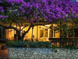 Apartamento Rogotin Grabación al aire libre 3