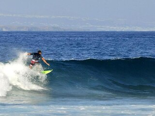 Appartement Rogotin  43