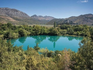 Appartement Rogotin  50