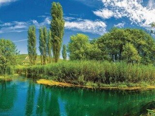 Appartement Rogotin  53