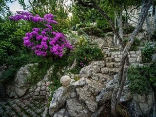 Apartment Rogotin Outdoor Recording 1