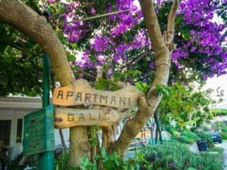 Apartamento Rogotin Grabación al aire libre 2