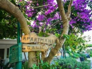 Apartment Rogotin Outdoor Recording 2