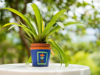 Apartamento Rogotin Grabación al aire libre 5