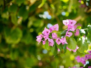 Appartamento Rogotin  43