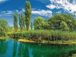 Apartment Rogotin  56