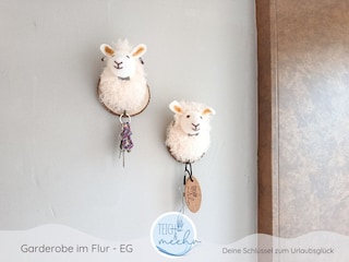 Ferienhaus Teich und meehr - Schlüssel-Schafe