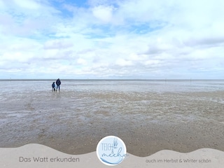 Ferienhaus Teich und meehr - Wattwandern