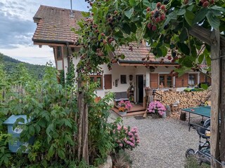 Eingagsbereich
