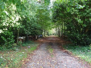 Vakantiehuis Ile-Tudy Omgeving 16