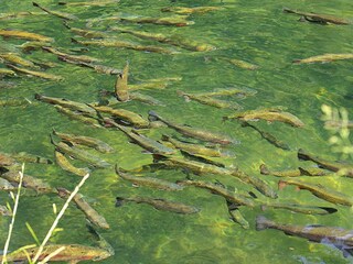 Apartamento Dabo  17