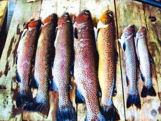 Apartamento Dabo  19