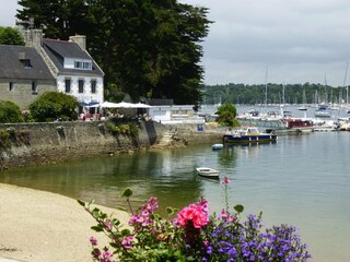 Maison de vacances Ile-Tudy Environnement 15