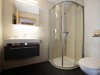 Apartment Veysonnaz Features 22