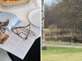 Ferienhaus Ringkøbing  18