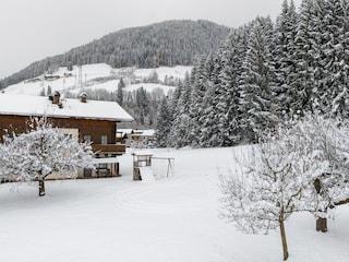 Apartment Mittersill Umgebung 32