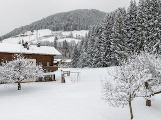 Apartment Mittersill Umgebung 31