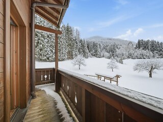 Apartamento Mittersill Grabación al aire libre 8