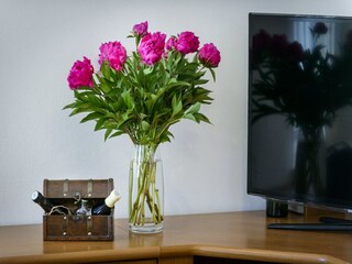 Apartamento Dubrovnik  19